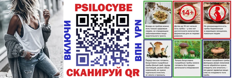 Купить где  Камбарка  Галлюциногенные грибы мицелий 