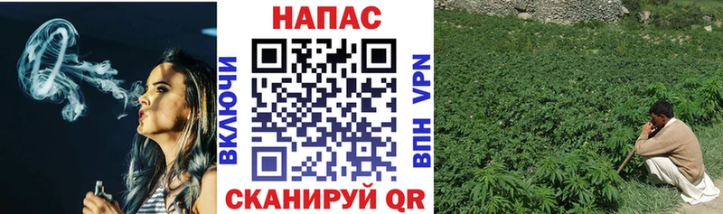Бошки марихуана AK-47  Купить  Камбарка 